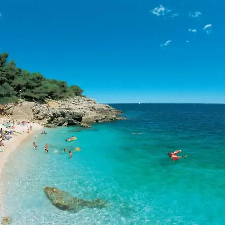 Ivona Centar Lejlighed *